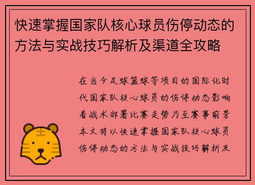 快速掌握国家队核心球员伤停动态的方法与实战技巧解析及渠道全攻略